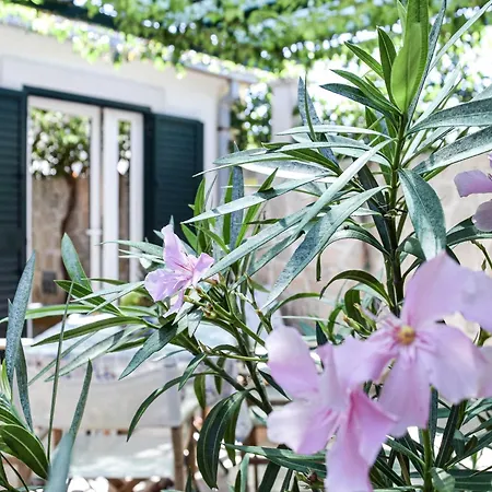 شقة Gracin بوفليا