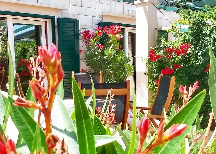 Gracin * بوفليا